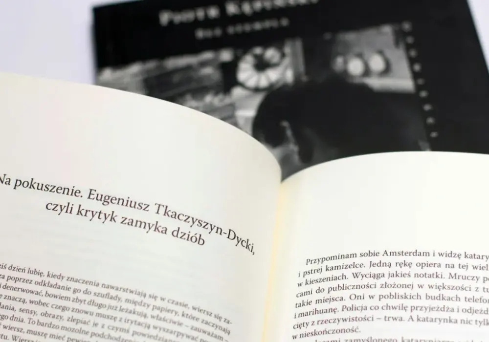 Dlaczego literatura potrzebuje więcej niż język literacki: przełom w tradycji