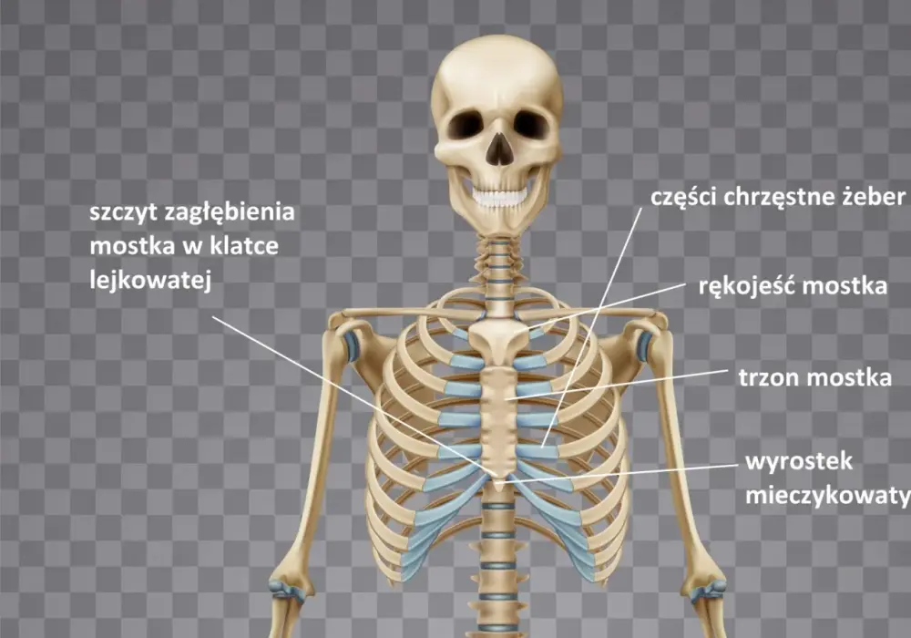 Symbolika klatki: 5 znaczeń, które Cię zaskoczą
