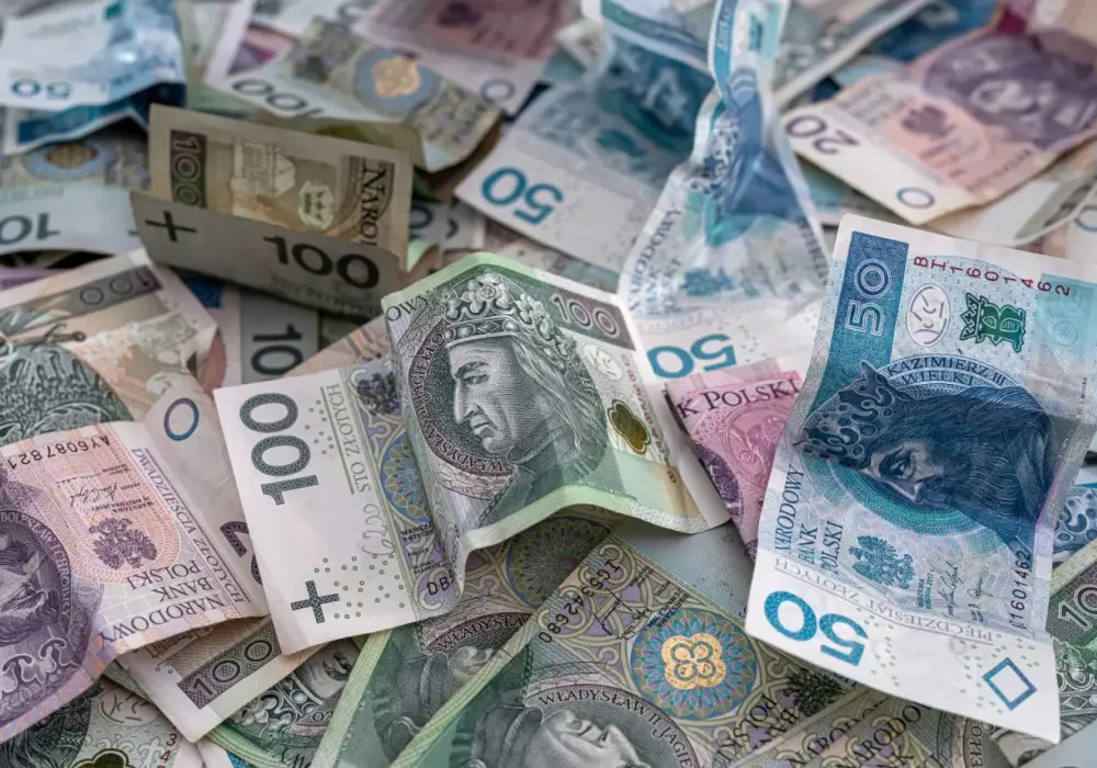 PLN, TZN i inne skróty: Co dokładnie oznaczają te akronimy?
