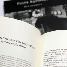 Dlaczego literatura potrzebuje więcej niż język literacki: przełom w tradycji
