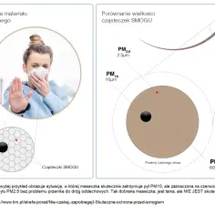 Co oznaczają symbole PM2.5 i PM10? Zrozum zdrowotne zagrożenia