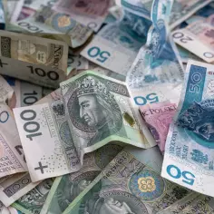 PLN, TZN i inne skróty: Co dokładnie oznaczają te akronimy?