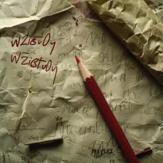 Wziąść czy wziąć? Sprawdź, która forma jest poprawna