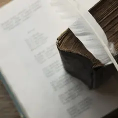 Zadania literatury w wierszu Dom Dziecka: analiza funkcji i znaczenia