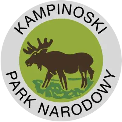 Zdjęcie Łoś symbolem Kampinoskiego Parku Narodowego - poznaj historię