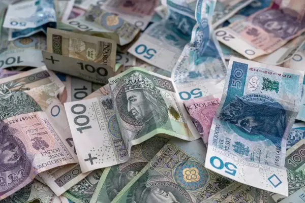 PLN, TZN i inne skróty: Co dokładnie oznaczają te akronimy?